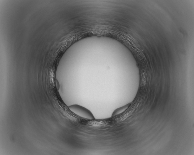 X0000110690575200906121058