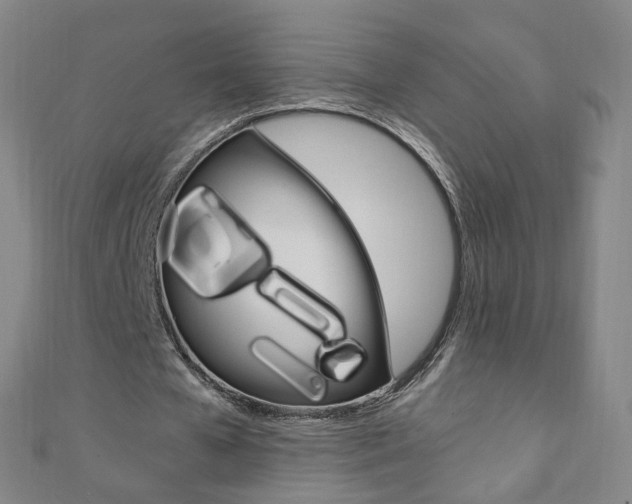 X0000110690577200906121058