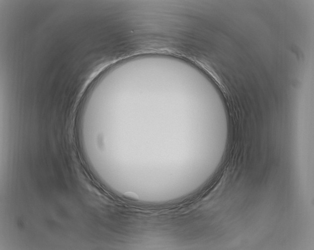 X0000110690579200906121058