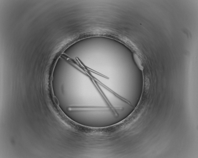 X0000110690581200906121058