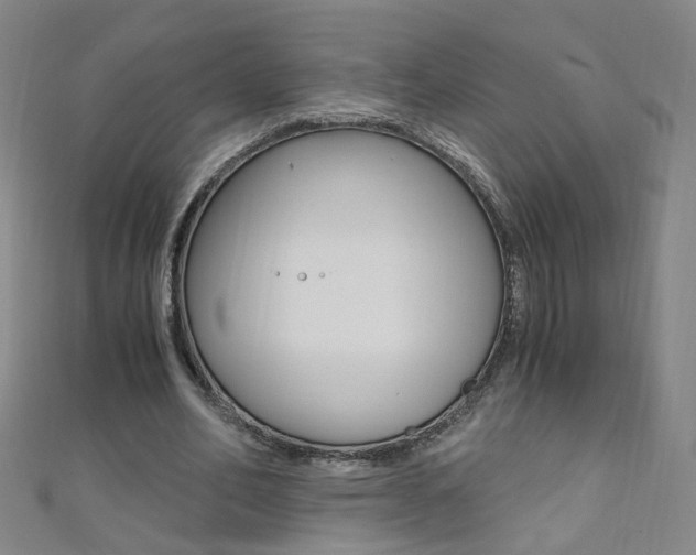 X0000110690582200906121058