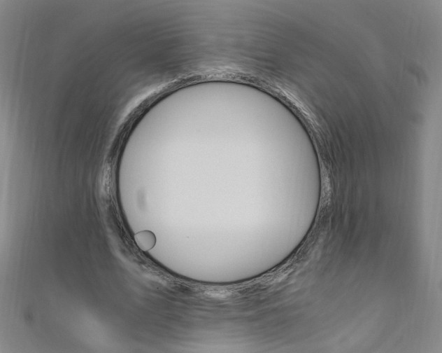 X0000110690583200906121058