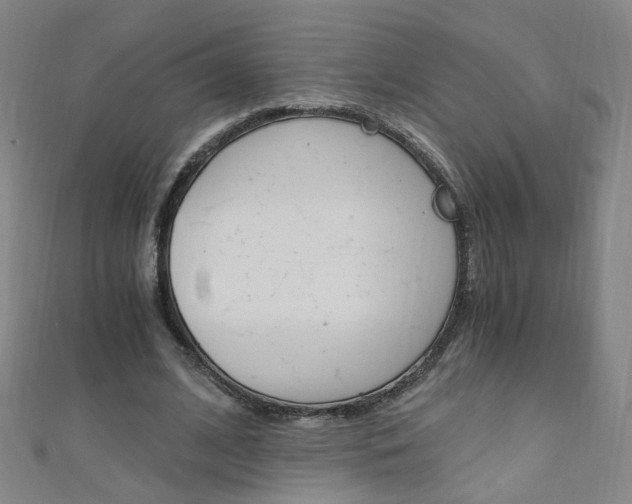 X0000110690584200906121058