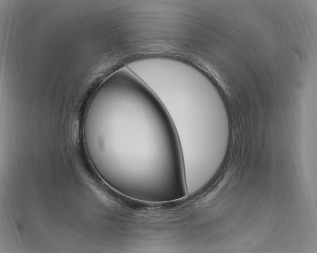 X0000110690589200906121058