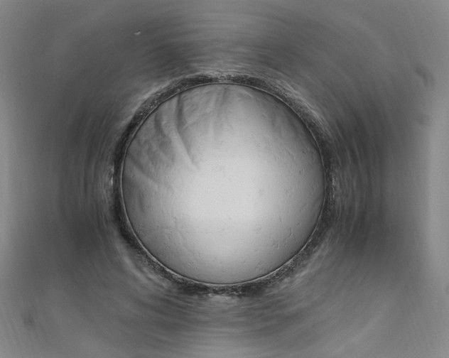 X0000110690592200906121058