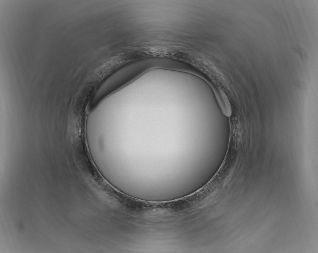 X0000110690593200906121058