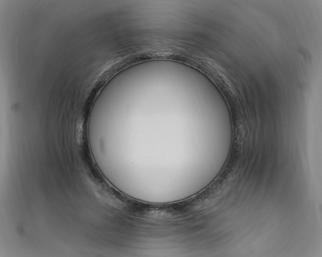 X0000110690596200906121057