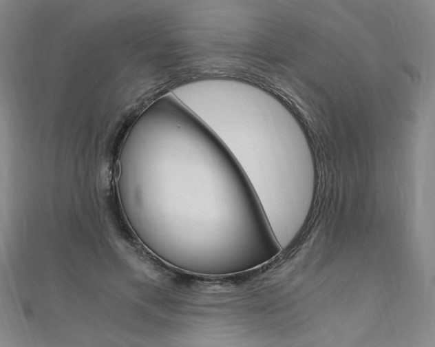 X0000110690597200906121057