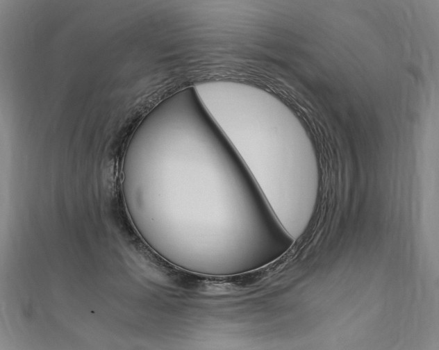 X0000110690605200906121057
