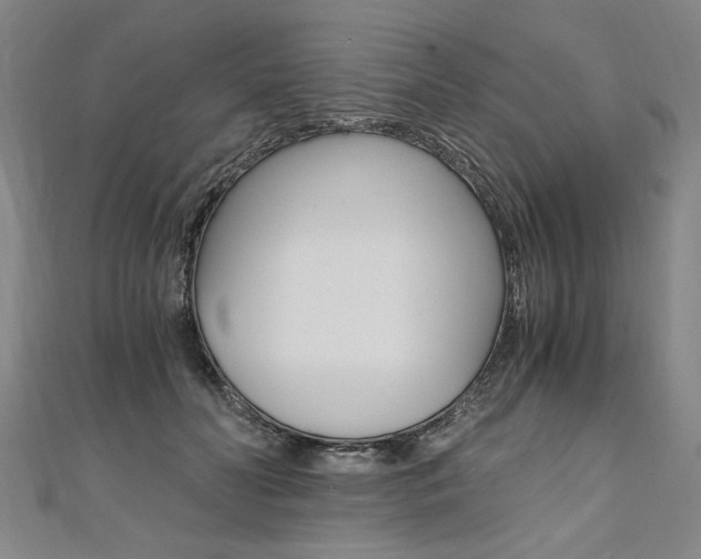 X0000110690606200906121057