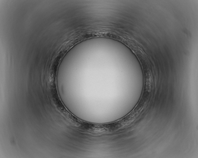 X0000110690608200906121057