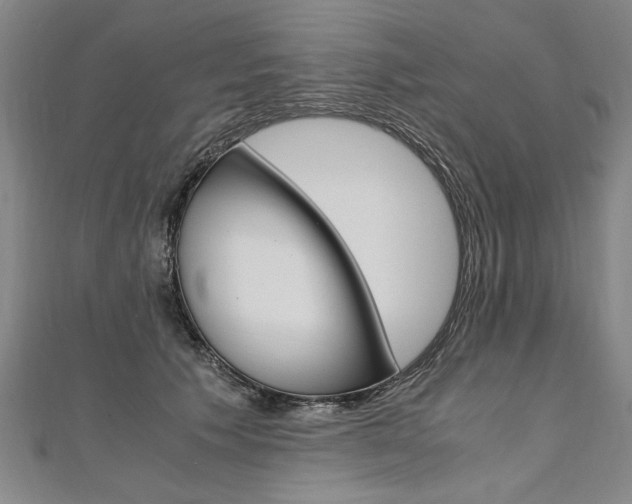 X0000110690609200906121057