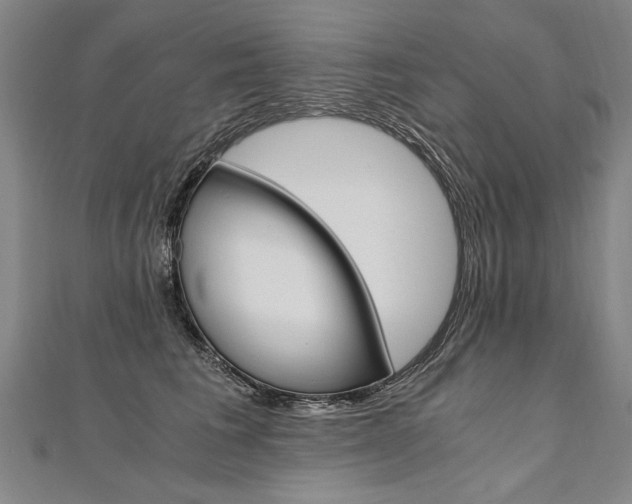 X0000110690613200906121057