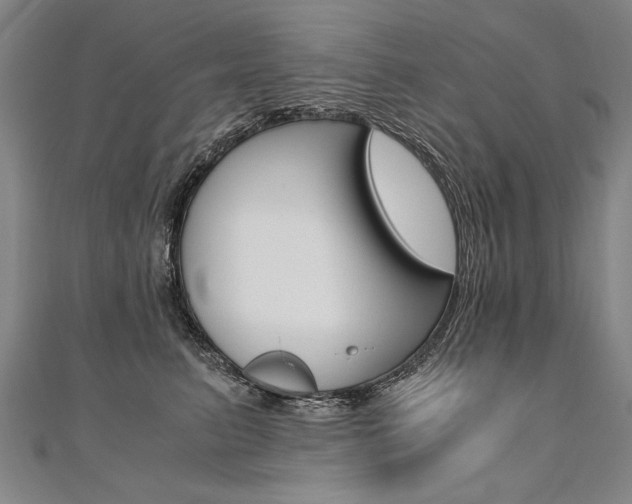 X0000110690615200906121057