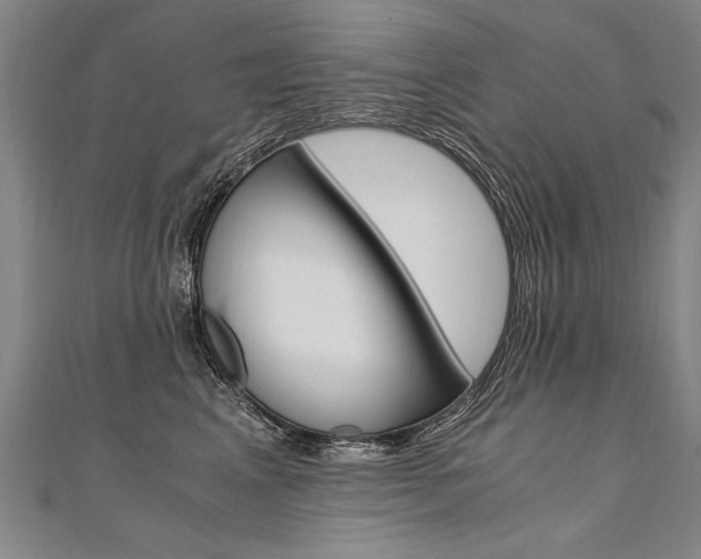 X0000110690617200906121057