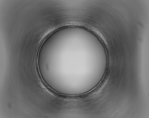 X0000110690625200906121056