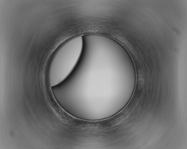 X0000110690626200906121056
