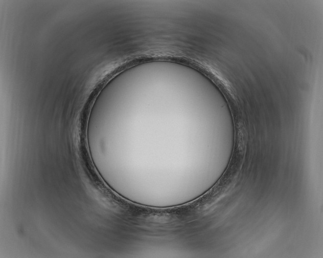 X0000110690631200906121056