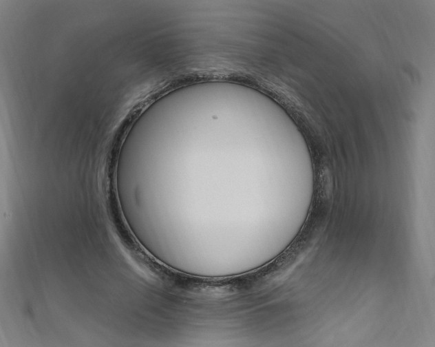 X0000110690638200906121056