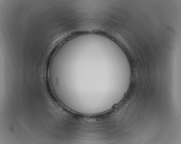 X0000110690640200906121056
