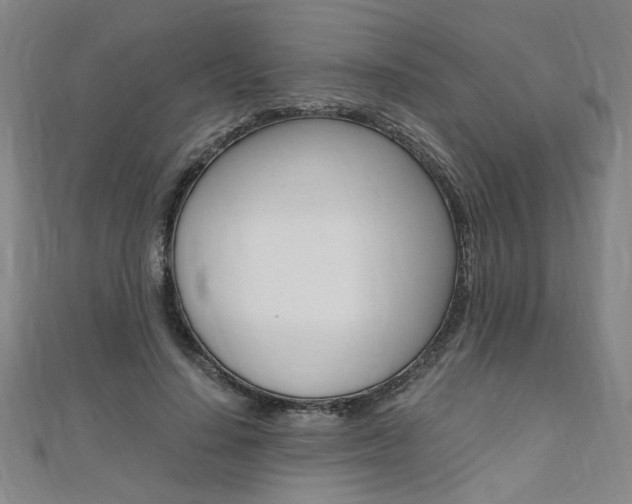 X0000110690644200906121056