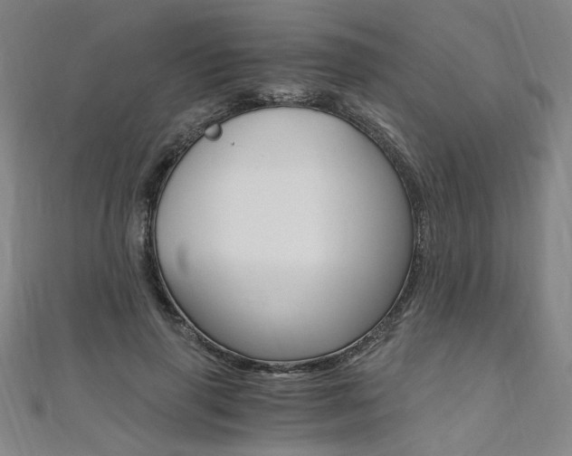X0000110690645200906121056