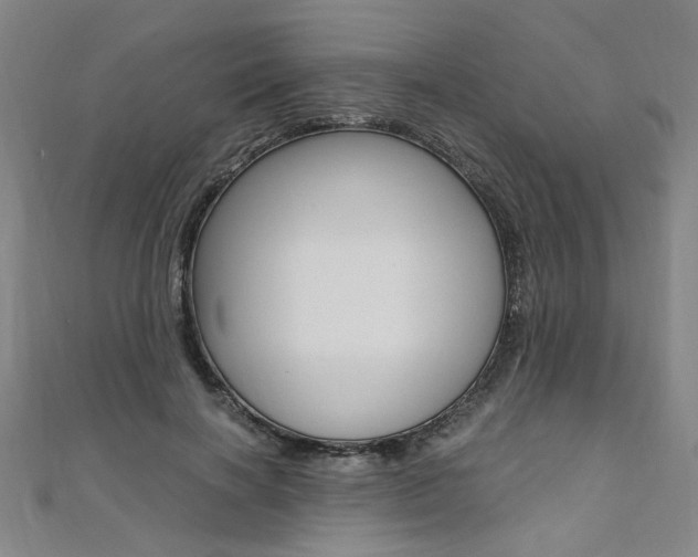 X0000110690646200906121056
