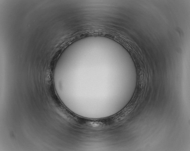 X0000110690654200906121057