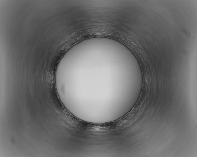 X0000110690657200906121057