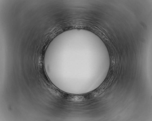 X0000110690663200906121057