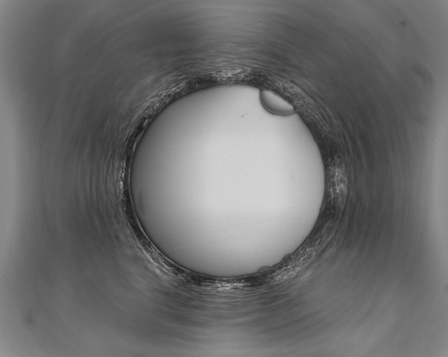 X0000110690664200906121057