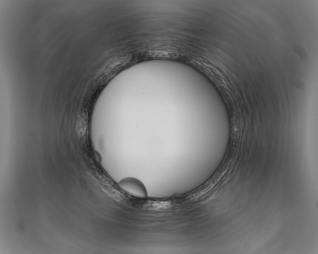 X0000110690665200906121057