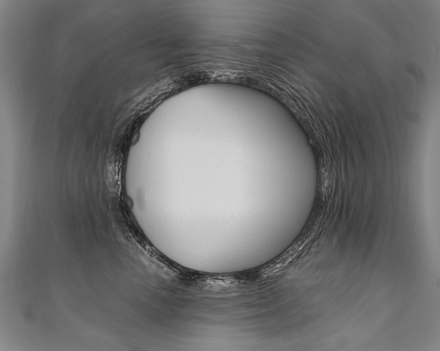 X0000110690666200906121057