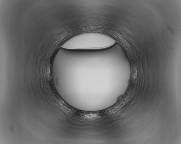 X0000110690669200906121057