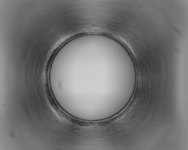 X0000110690674200906121056
