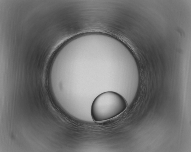 X0000110690680200906121056
