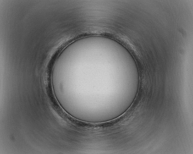 X0000110690683200906121056