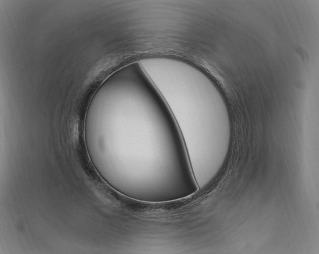 X0000110690685200906121056