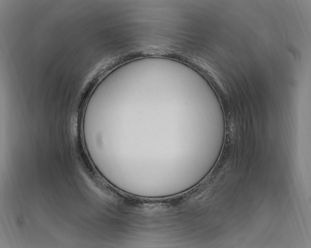 X0000110690686200906121056