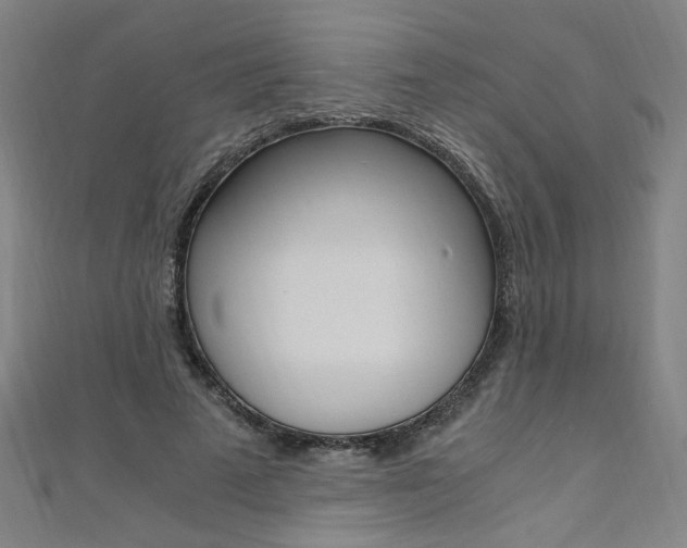 X0000110690689200906121056