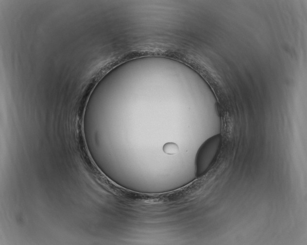 X0000110690692200906121056