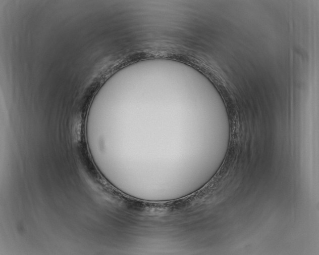 X0000110690694200906121056