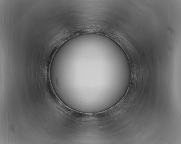 X0000110690696200906121056