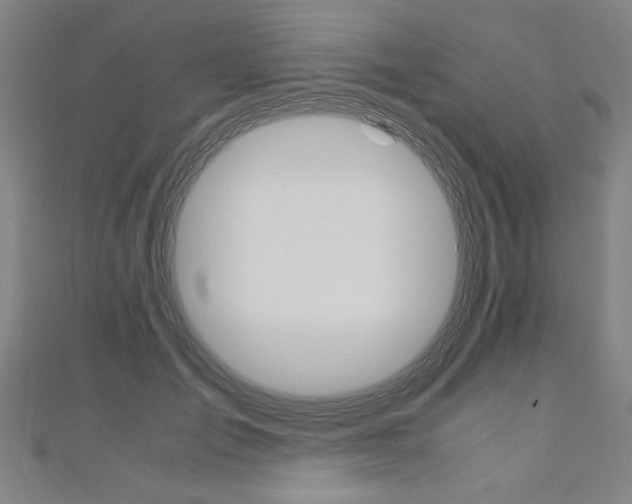 X0000110690701200906121056