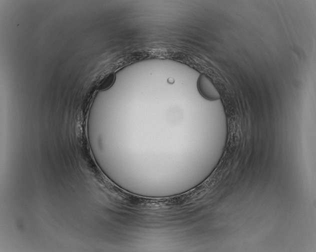 X0000110690702200906121056
