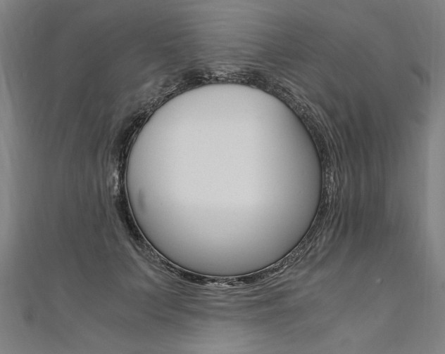 X0000110690703200906121056