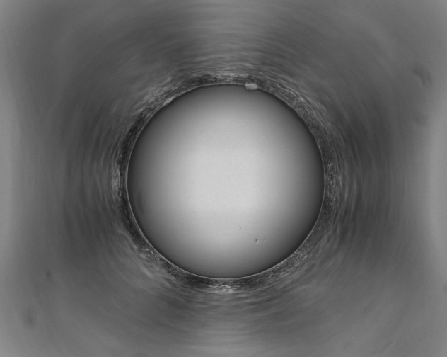 X0000110690704200906121056