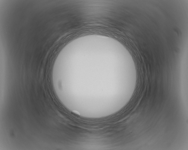 X0000110690705200906121056