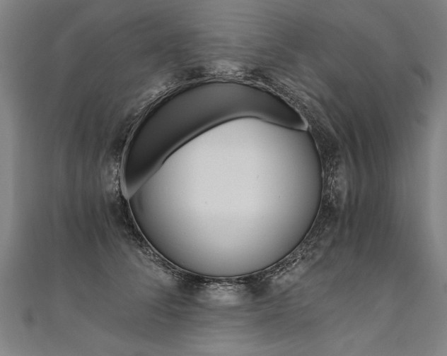 X0000110690708200906121056