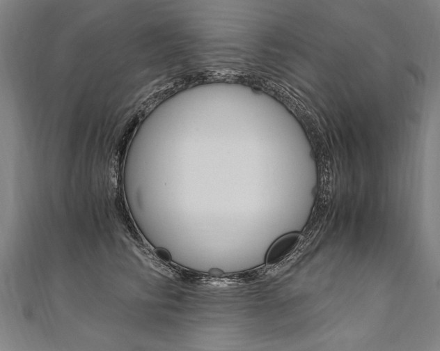 X0000110690710200906121056